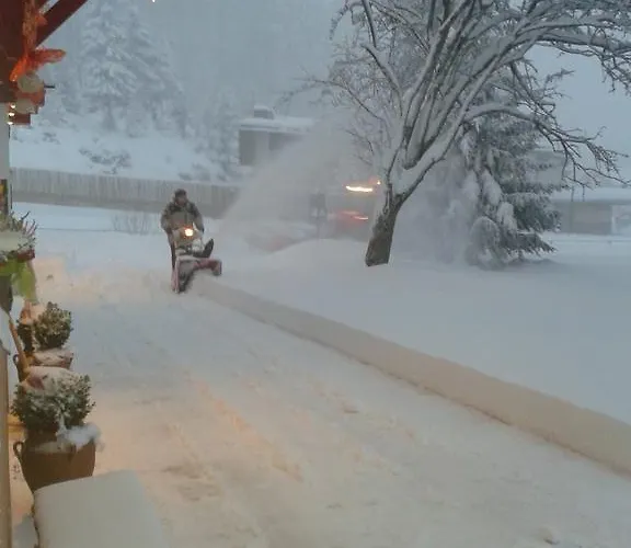 بيت ضيافة Bystrenka 3*