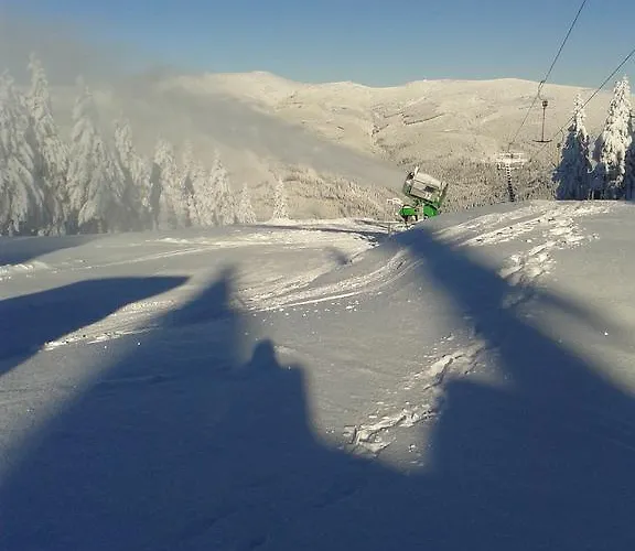 بيت ضيافة Bystrenka