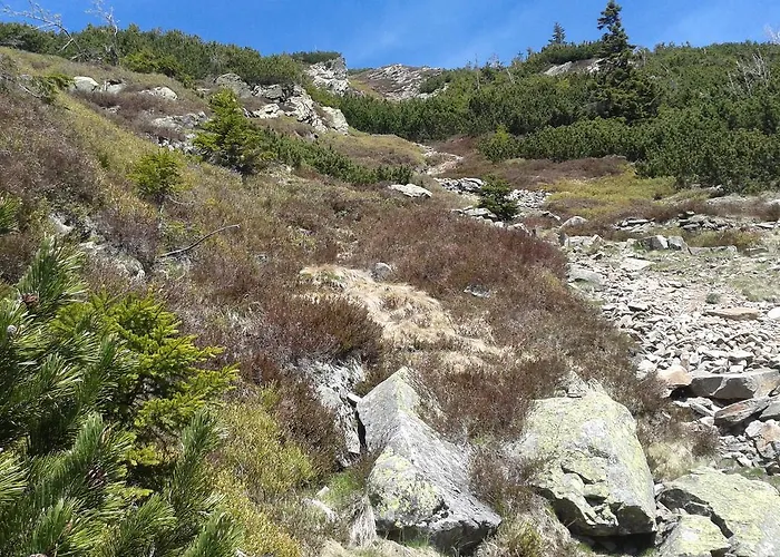 Bystrenka 3* Špindlerŭv Mlýn